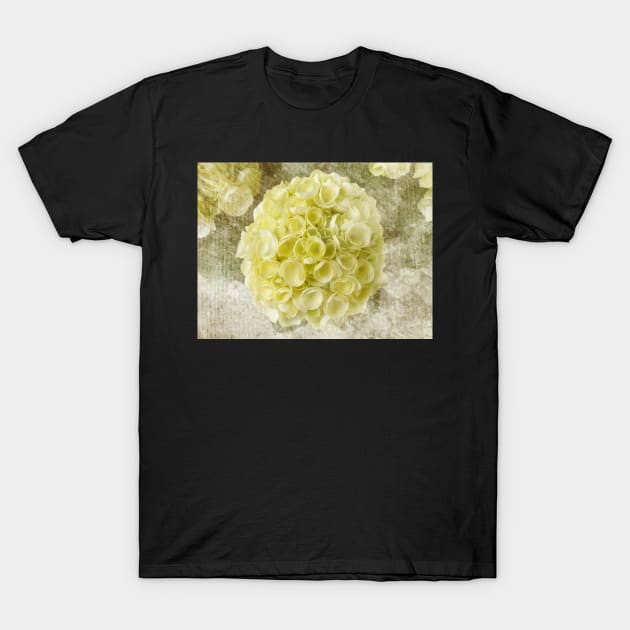 Kühle Hortensie T-Shirt by Blumchen